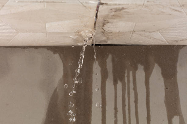 Professional Structural Drying technician working in Hollansburg, OH